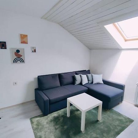 Apartmán Udoban Stan Sa Terasom U Mirnom Okruzenju Záhřeb Exteriér fotografie